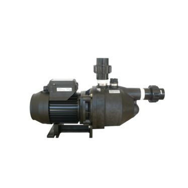 Ancillary pumps